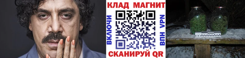 Купить закладку Бошки Шишки  СОЛЬ  Гашиш  Меф мяу мяу  Дрезна