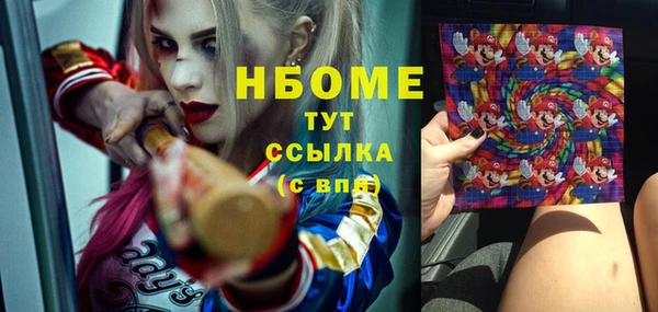 меф Няндома