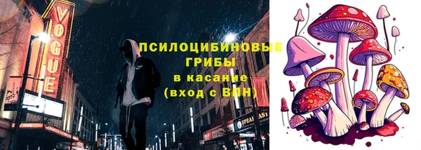 меф Няндома