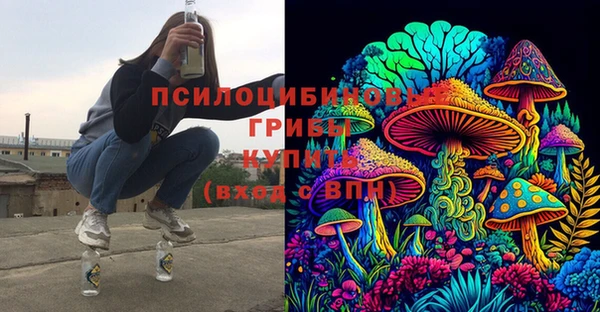 меф Няндома