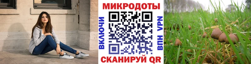 Галлюциногенные грибы Psilocybine cubensis  Купить где  Дрезна 