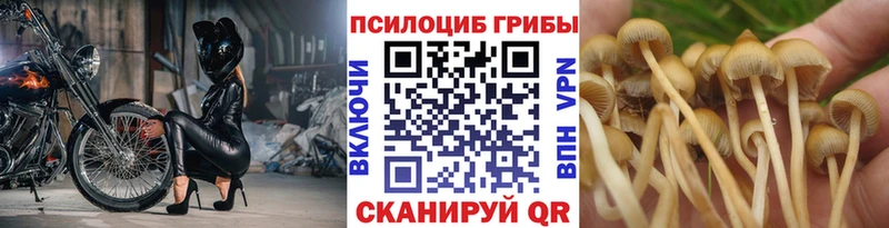 Галлюциногенные грибы мухоморы Дрезна